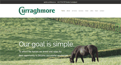 Desktop Screenshot of curraghmore.co.nz