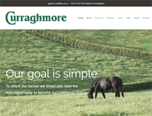 Tablet Screenshot of curraghmore.co.nz